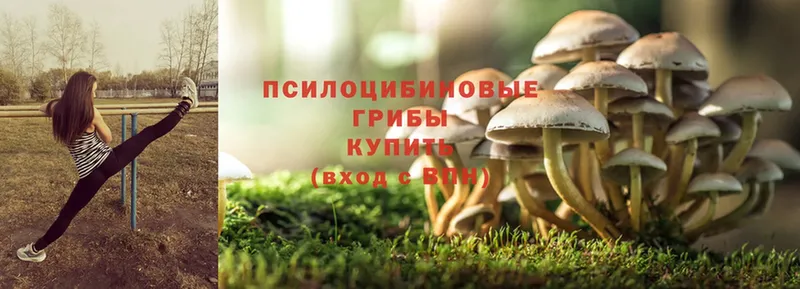 Псилоцибиновые грибы Magic Shrooms  hydra как зайти  Видное 